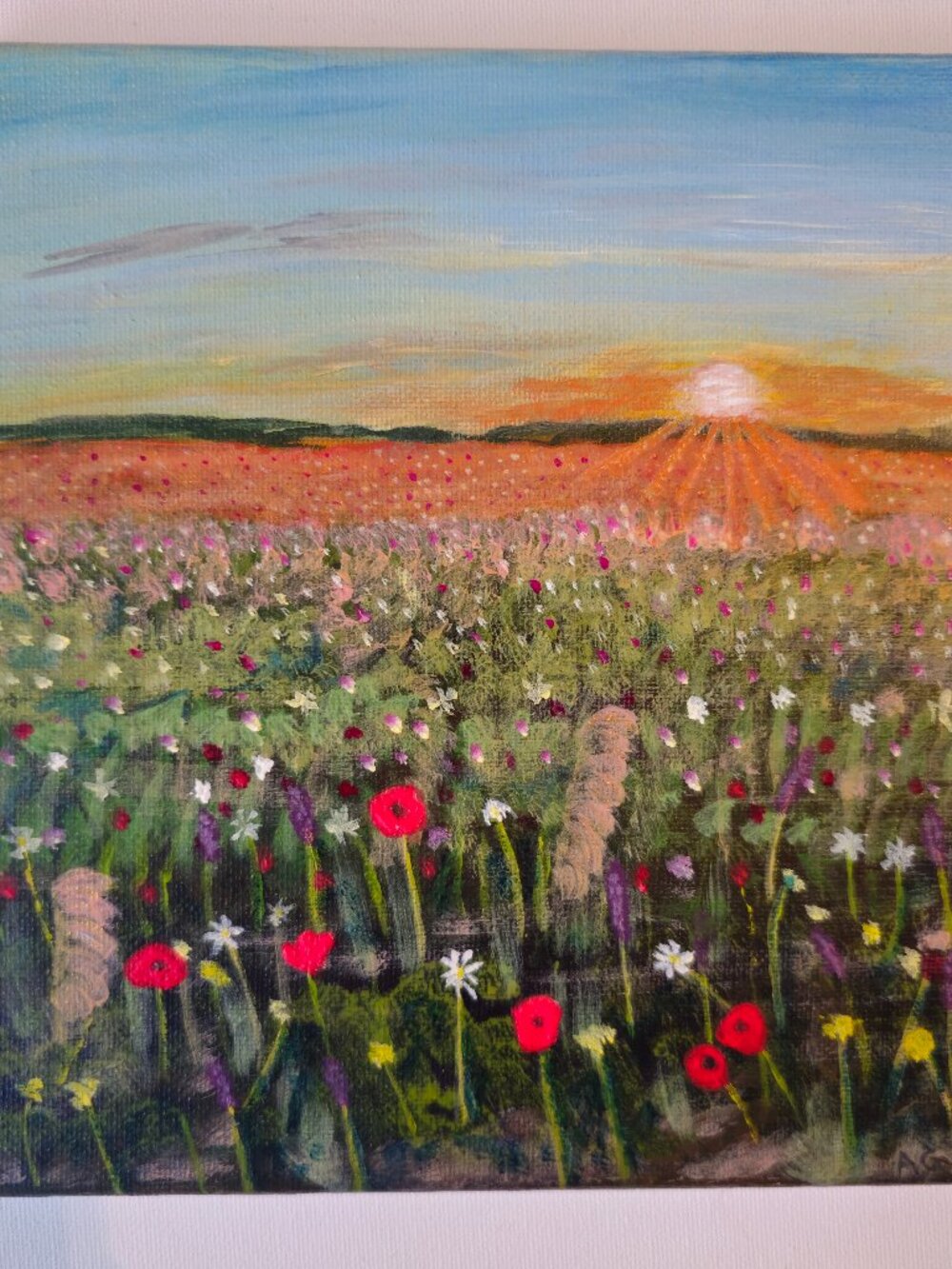 Poppy Field Original Canvas Painting Small 8 x 8 acrylic sun